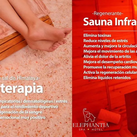 Elephantia Spa Hotel-2